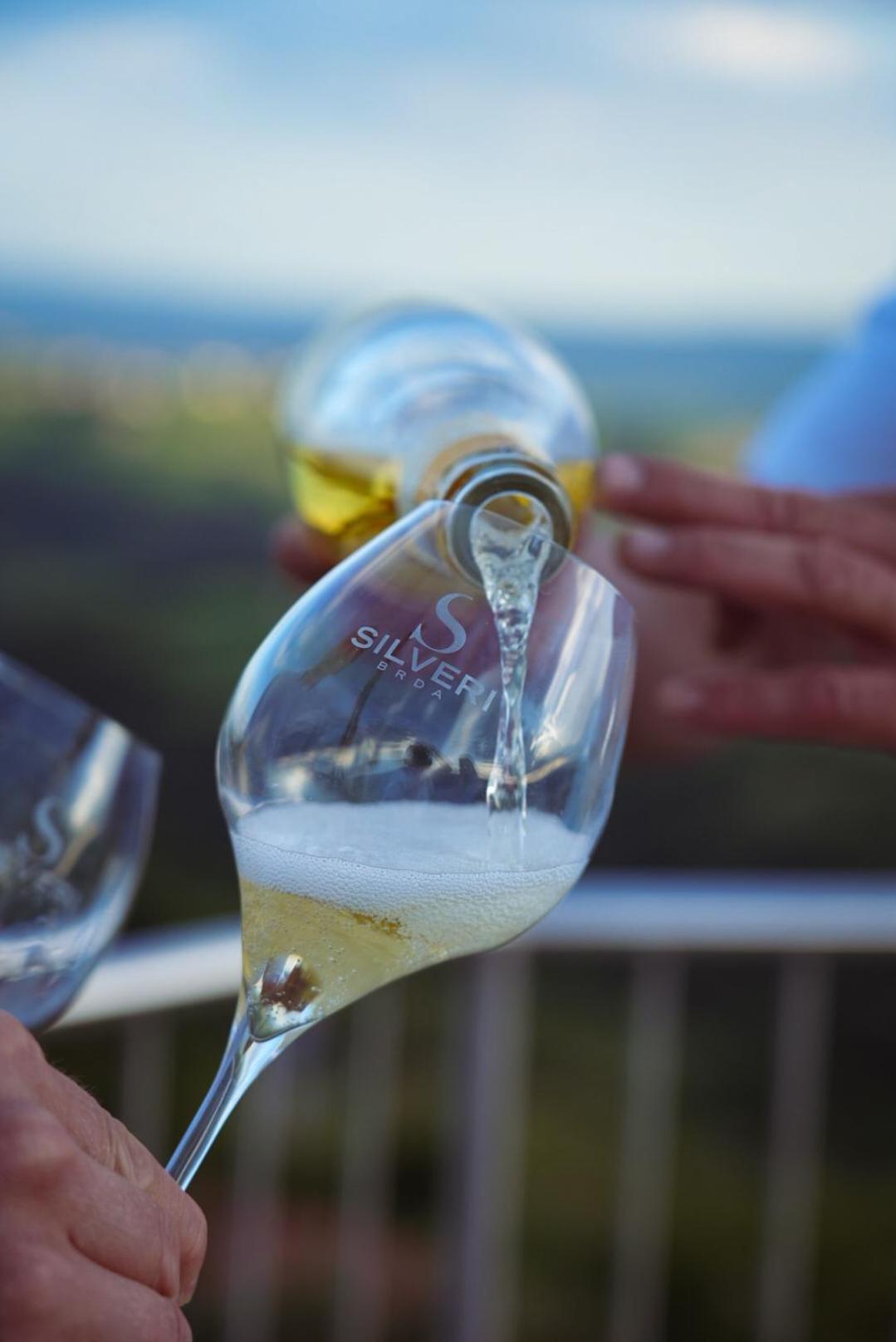 Pikol Village Wine Estate